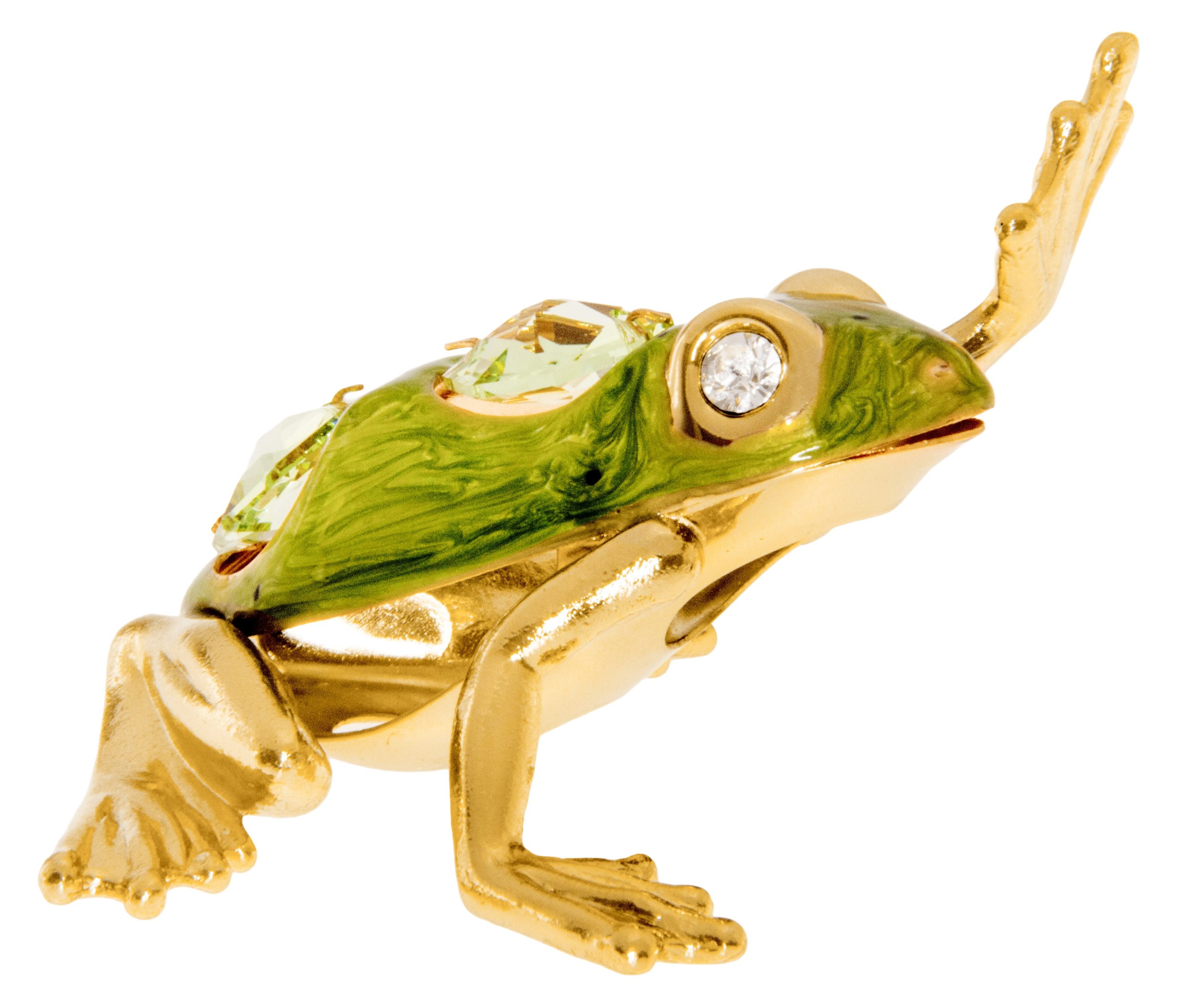 frog arm floaties